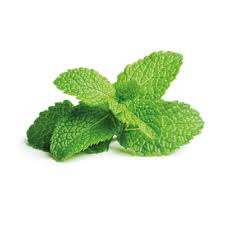 100% Pure Peppermint Essential Oil 10ml